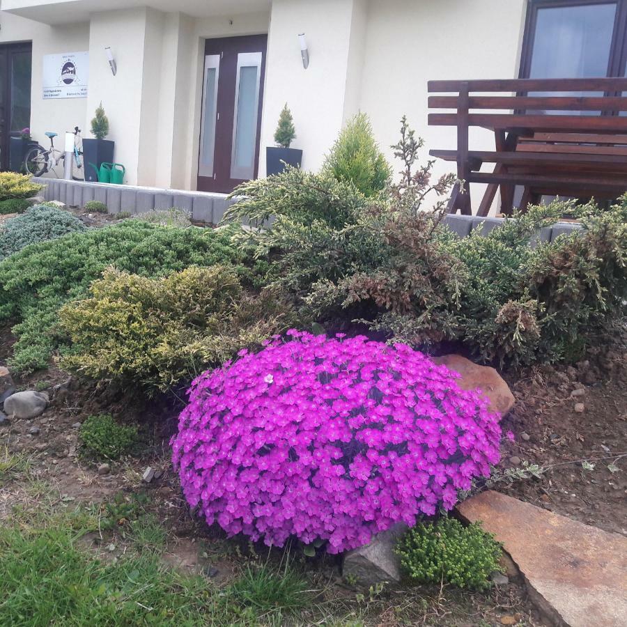Apartamenty Przy Trakcie Cesarskim Wegierska Gorka Buitenkant foto